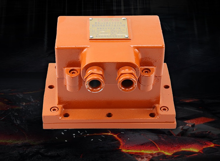 TB-800/24YF Mining Flameproof Generator Regulator - Regulator(images 7)