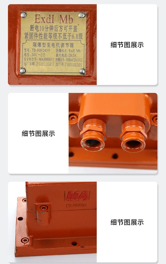 TB-800/24YF Mining Flameproof Generator Regulator - Regulator(images 11)