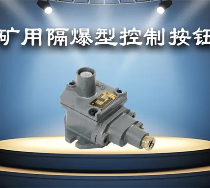 Mining Flameproof Control Button