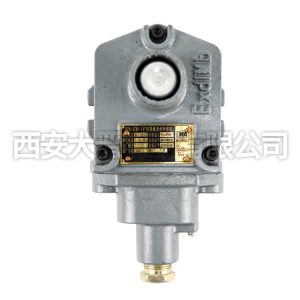 BZA-5/36-1 Mining Flameproof Control Button