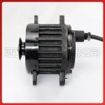 Accessories: Bio electric scooter vehicle battery